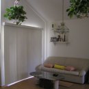 대륙사우나 이미지