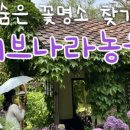 숨은꽃 이미지