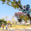 검바위공원 이미지