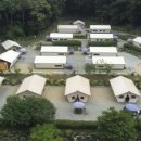 느티나무야영장 이미지