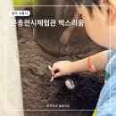 오이도작은도서관 | 벅스리움 예약 안하고 주말 방문 주차 체험 선물 꿀팁