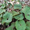 김주연농장 이미지