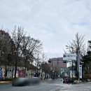 주흥길 72-2 (1) | 서울 중구 장충동 웨딩홀 크레스트72 보타닉 글라스홀 하객 후기 - 주차, 식사