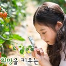 해룡초등학교 병설유치원 이미지