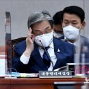 안경대통령 이미지