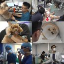 채선농장 이미지