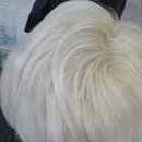 학익시장 이미지