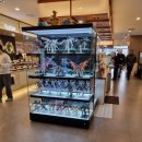 메디칼 세븐(7) | 창원 초밥뷔페 추천 쿠우쿠우 창원점 시티세븐 무한리필 후기