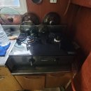 개운포성지 이미지