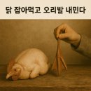 잡아잡아 이미지