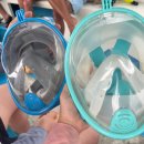 원(자동차를고치는집)창 | 발리에서 생긴일 - 9. 길리섬 자전거 대여, 그룹스노쿨링 후기