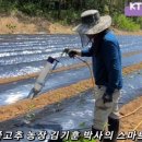 김기훈농장 이미지