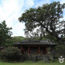추사 유배길 - 3코스 사색의 길 Daum카페