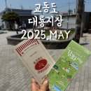 [ 강화도 ] 교동도 대룡시장 &amp; 연안정육식당 방문기 2025.MAY.25