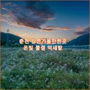 북한강물새길(봄내길 7코스) | 춘천 강촌가볼만한곳 은빛 물결 억새밭 산책로 자전거길 강촌 출렁다리공원 강촌 사륜바이크 강촌레일...