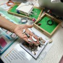 한샘소리샘보청기 이미지