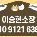 City공인중개사사무소 이미지