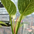 가양2동주민센터 이미지