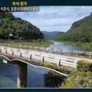 거시기라이브