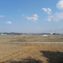 금광초등학교 정문 이미지