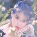 은실미용실 - 가평군 | 은실미용실