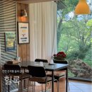 산곡 애견사랑 | 내돈내산 산곡동 청천동 애견동반식당 숲속 감성 힐록