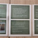 미라클효소찜질