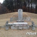 안몽윤 묘역 이미지