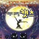 경상남도 문화예술회관 대공연장 | 2026 어린이 뮤지컬 〈캣츠〉 진주 경상남도문화예술회관 대공연장 공연 시간 일정 줄거리 내용 티켓팅...