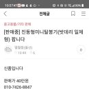 꿀사랑