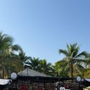 세븐게러지 | 태국 치앙마이 5박7일 혼자 여행 후기 및 6일차 자유여행 일정/코코넛마켓/징짜이마켓/치앙마이에서...