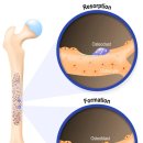 바른이웃치과의원 이미지