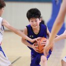 명진체육관 이미지