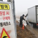 한국가금(주) 이미지