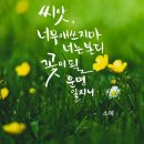 마음을 쓰다, 힐링 캘리 이미지