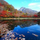 백양사 쌍계루 이미지