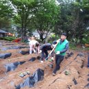 안종호농장 이미지