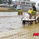 단평농장 Daum카페