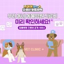시민동물병원 이미지