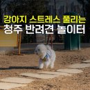 문암생태공원(반려견놀이터) | 청주 문암생태공원 반려견 놀이터 동반 여행지 갈만한곳