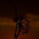 안녕한의원 이미지