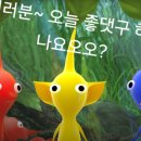 프로헬스크럽 | 니트컴퍼니 중구점2 | 요즘 나의 최애 피크민으로 만든 니트컴퍼니 사내클럽, 닛커넥트 우주선(모임) 홍보!