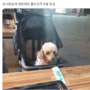 은희네 이미지
