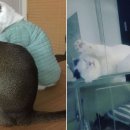 알콩달콩 이미지
