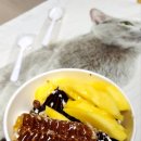 오늘도돈돈먹자 이미지