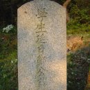 시용(時鎔) Daum카페