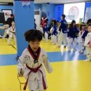 강북2태권도장 네이버블로그