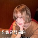 헤어갤러리 - 은평구 신사동 | 헤어갤러리