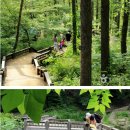 태화산파크 이미지
