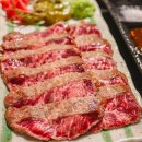 로얄회관 | 광화문 세종문화회관 근처 맛집｜후라토식당 규카츠 내돈내산 솔직후기